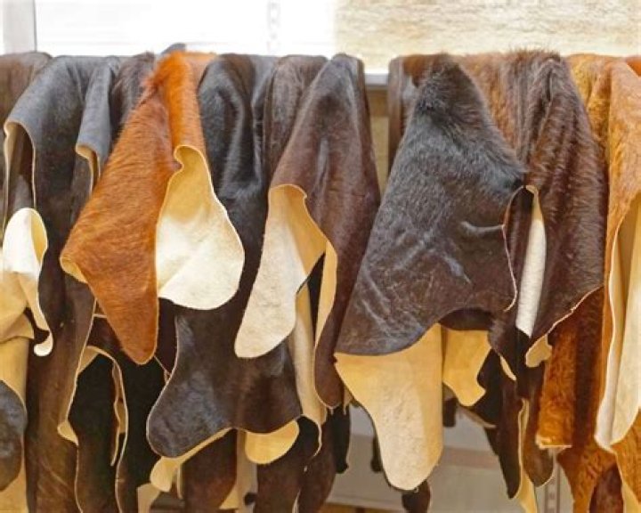Are all cow hides used for leather?