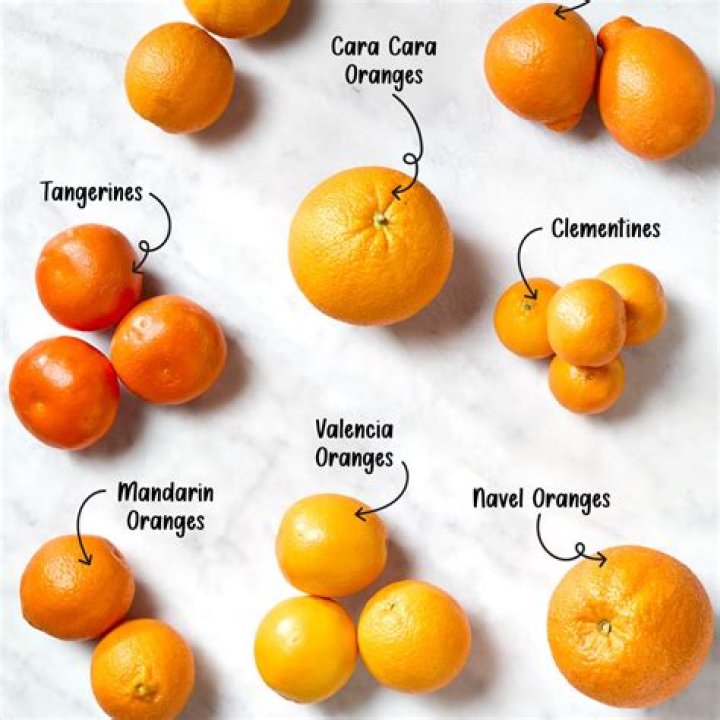 Are navel oranges good this time of year?