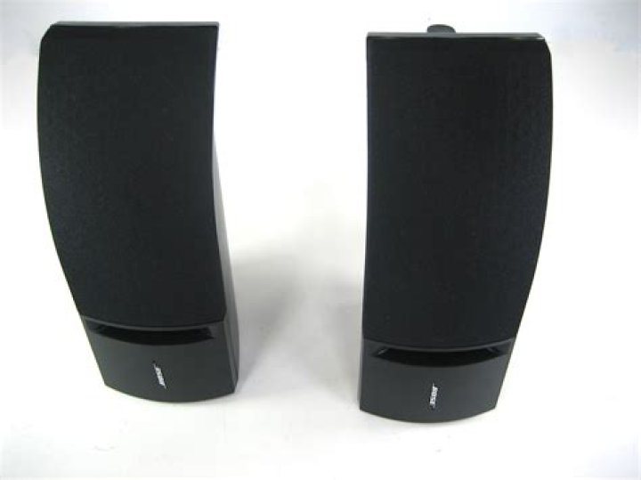 Are there any Bose 161 speakers in black?