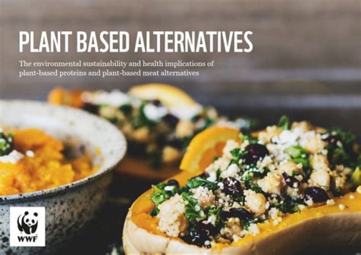 Are there any plant based alternatives to food?