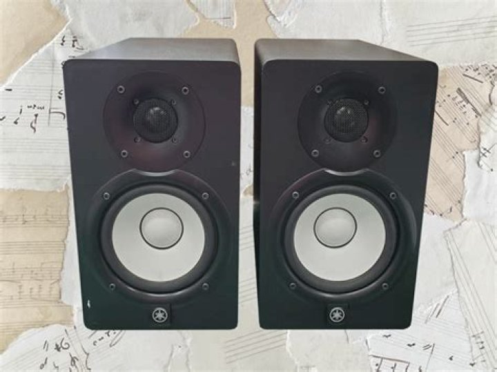 Are Yamaha HS5 good speakers?