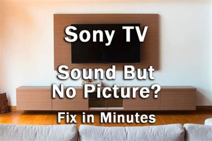 Can a Bose DVD play sound but no picture?