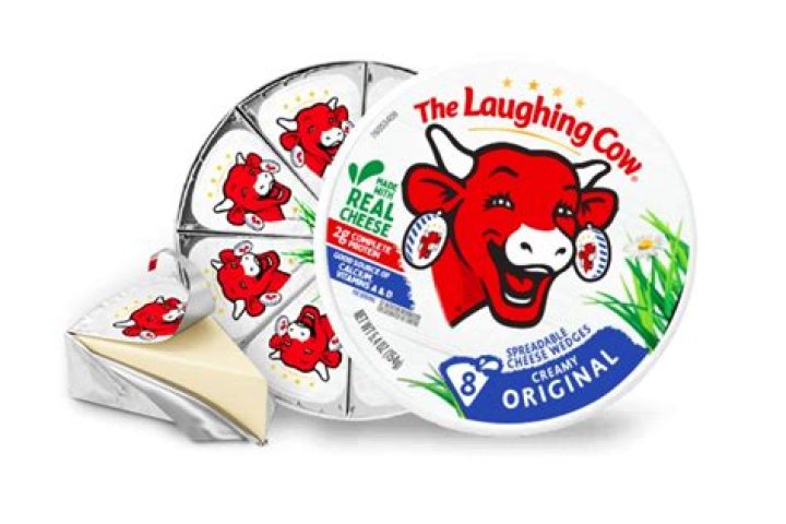 Can a cow eat cheese?