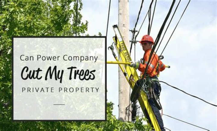 Can a power company trim a tree without notifying the property owner?