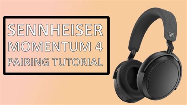 Can a Sennheiser Momentum connect to a Yamaha AMP?