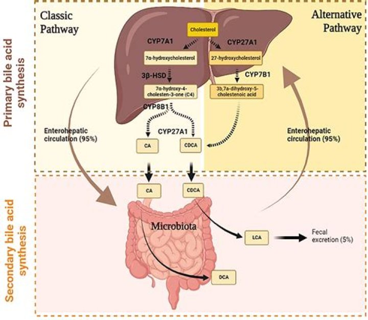 Can I drink milk in typhoid?