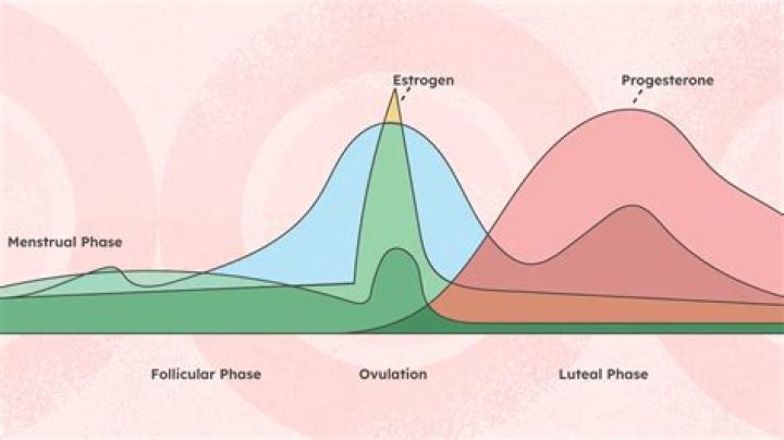 Can lifestyle changes affect your period?