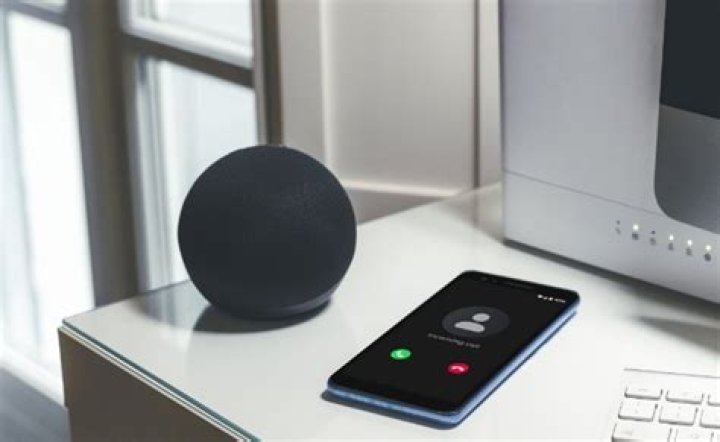 Can Portal make Alexa calls?
