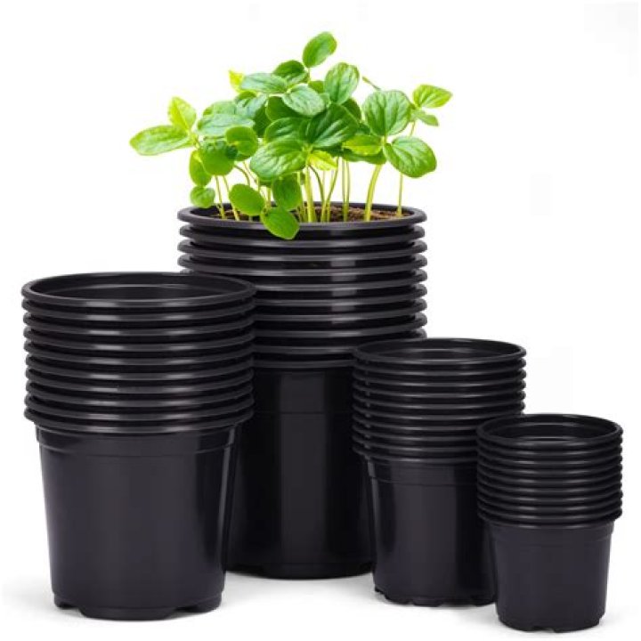 Can pots be too small for plants?