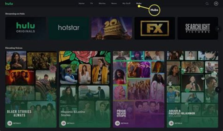 Can someone else watch my Hulu?