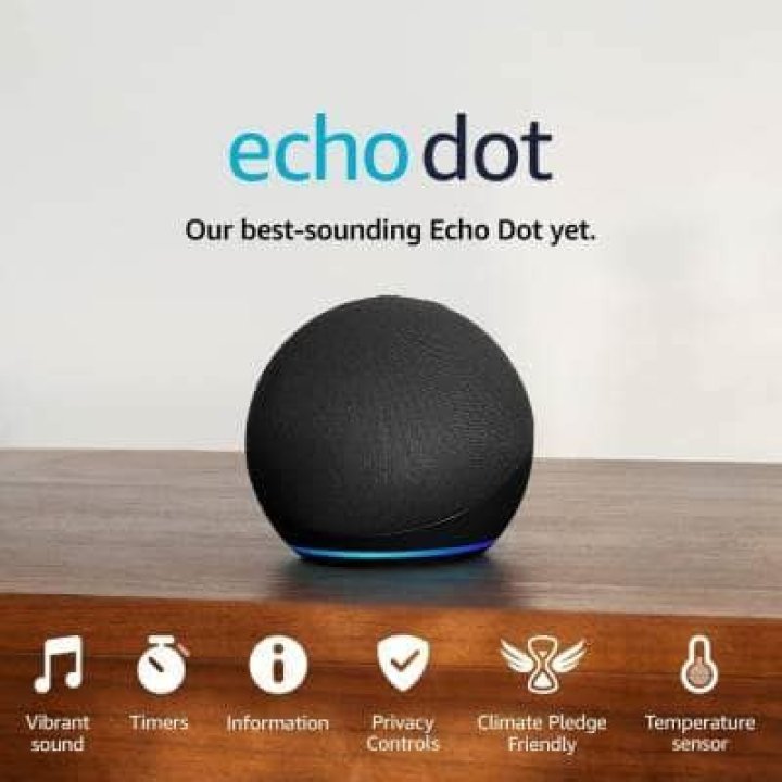 Can Sonos one pair with Echo dot?