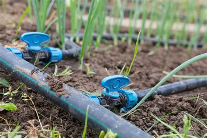 Can sprinkler and drip on same line?