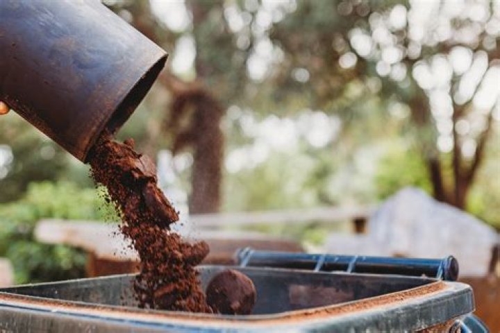 Can unused coffee grounds be used in the garden?
