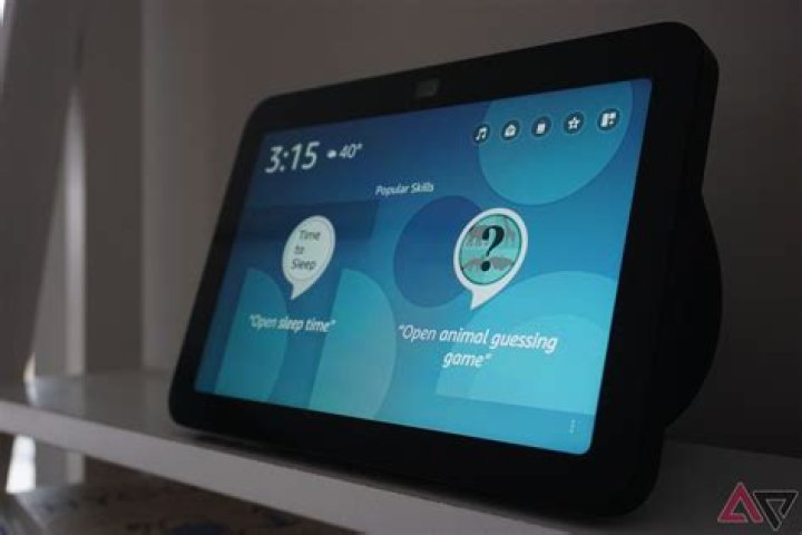 Can you check the history of Alexa?