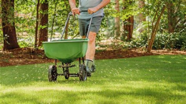 Can you fertilize lawn too much?