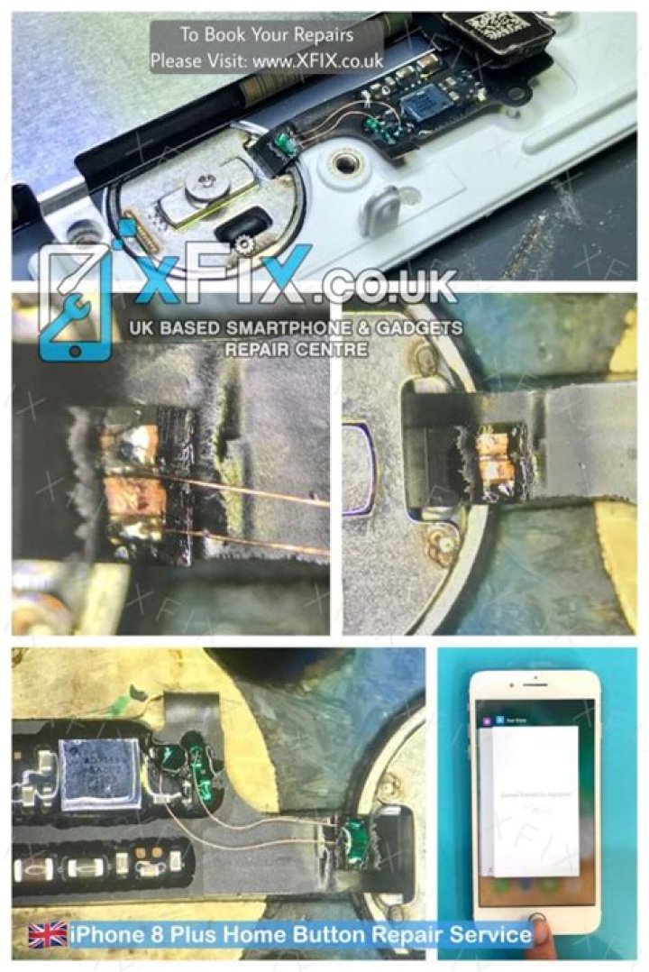 Can you fix iPhone 8 home button?