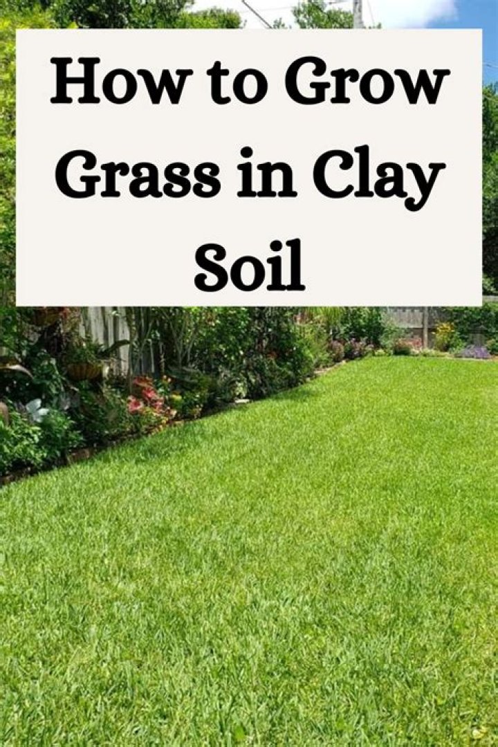 Can you grow grass on top of bricks?