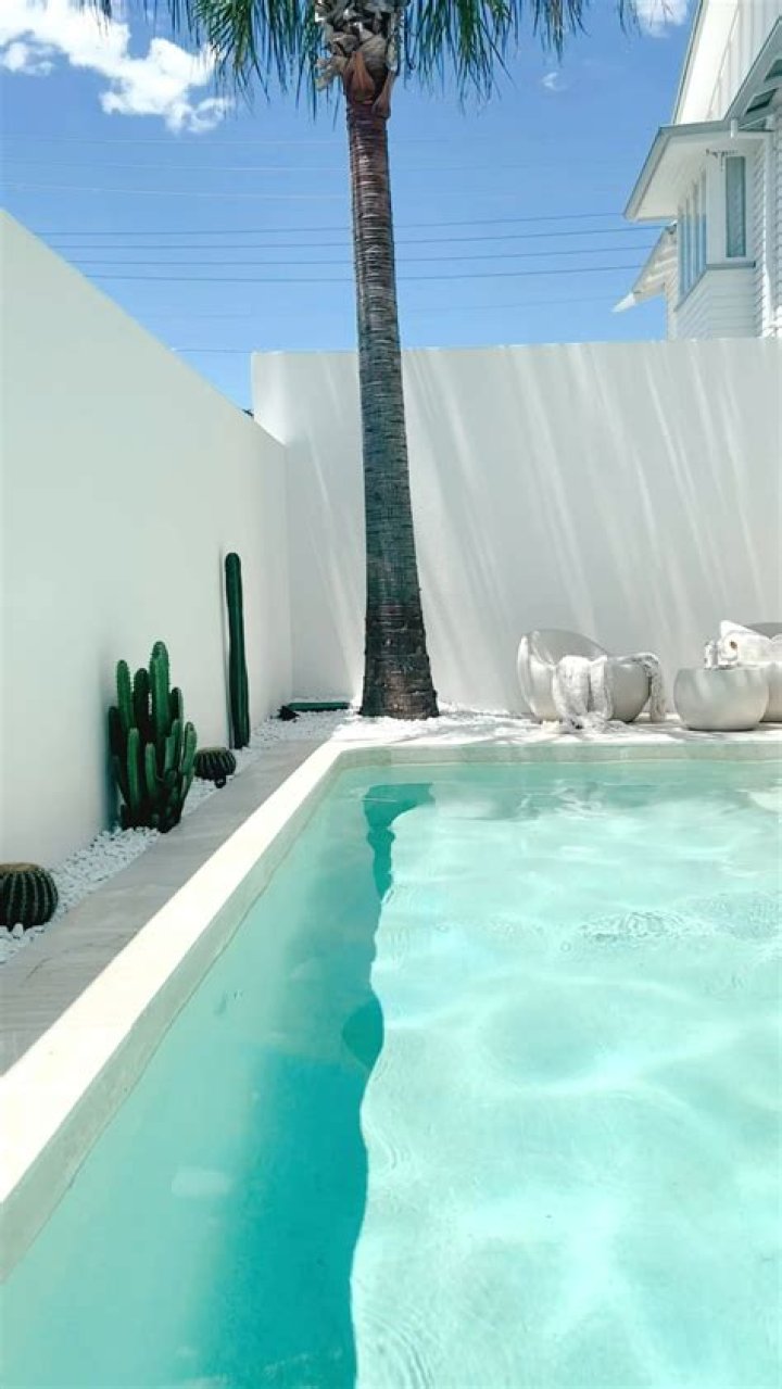 Can you have a tree next to a pool?
