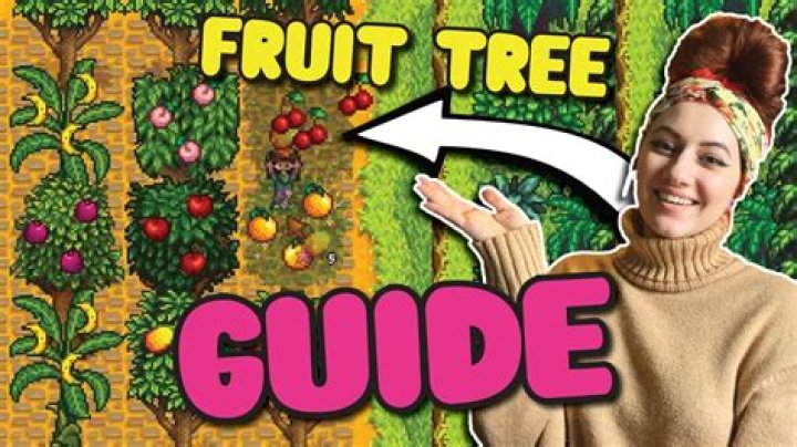 Can you plant fruit trees in late fall?