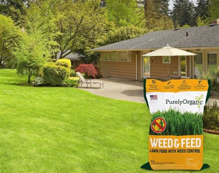 Can you put down too much weed and feed on lawn?