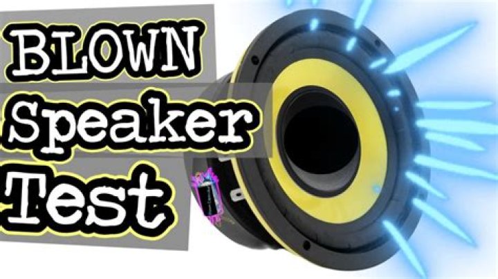 Can you tell if a speaker is blown by looking at it?