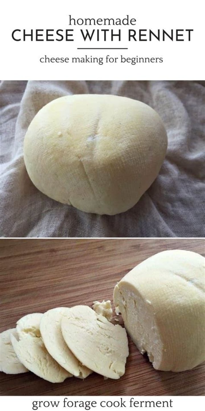 Can you use essence of rennet for cheese making?