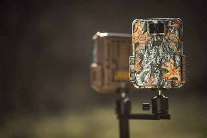 Do you need a cell phone to use a trail camera?
