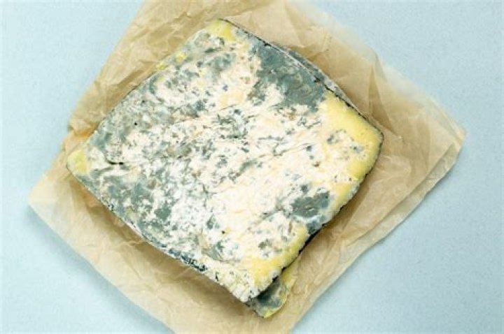 Does AIR make cheese mold?