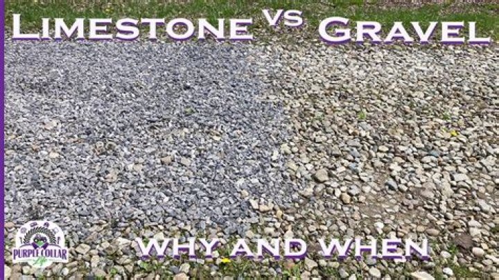 Does grass die under gravel?