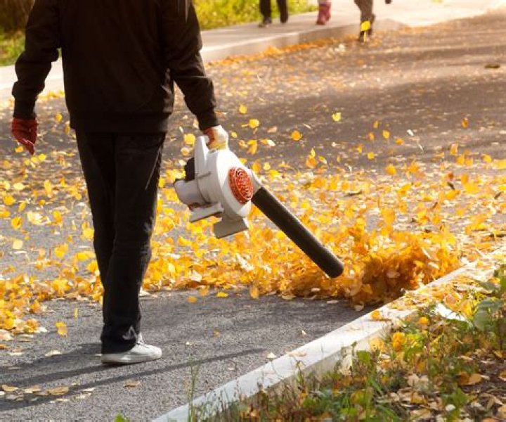 Does removing leaves promote growth?