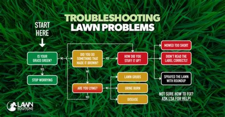 How are lawn problems diagnosed?