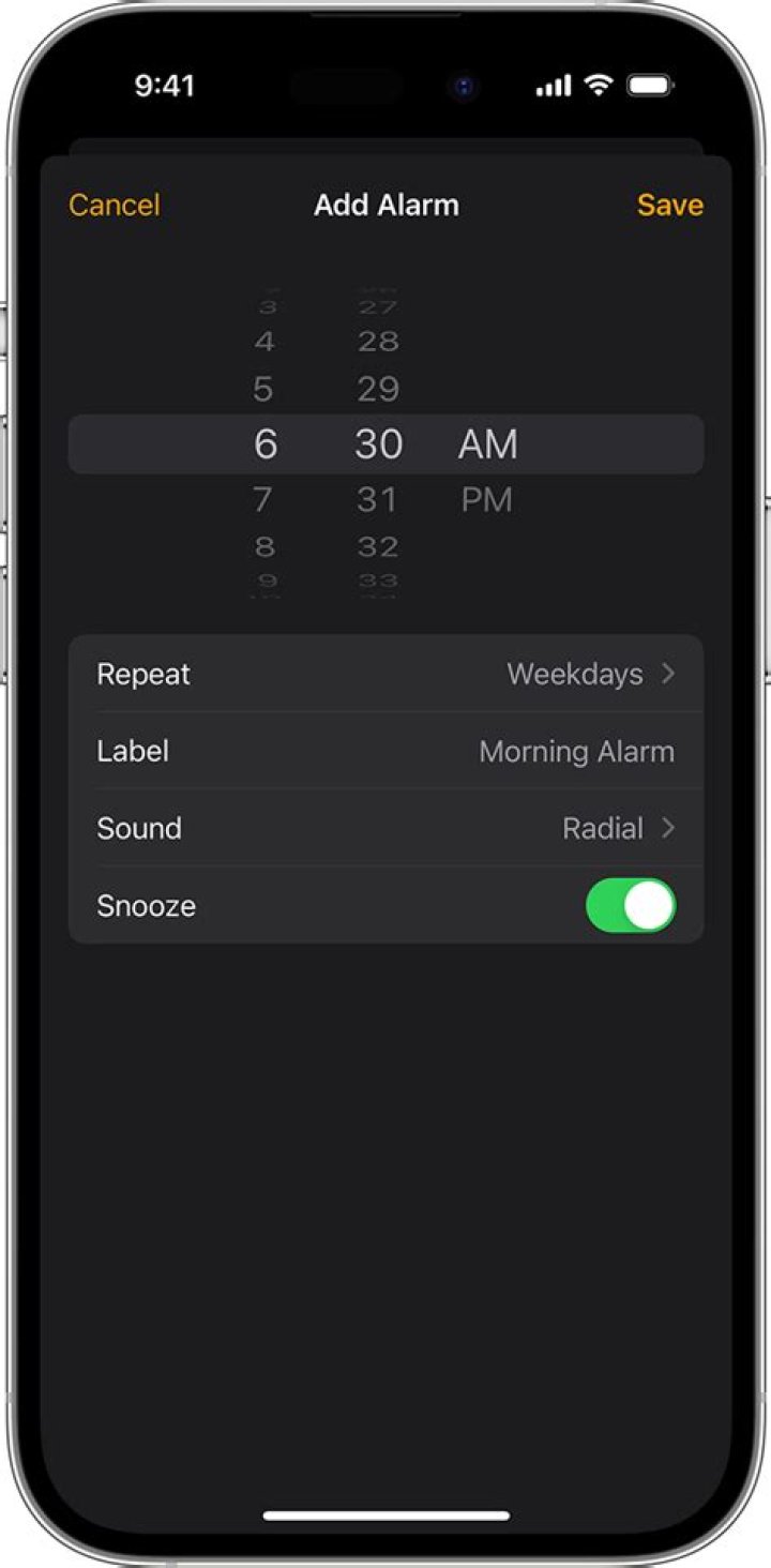 How can I use an alarm without a monthly charge?
