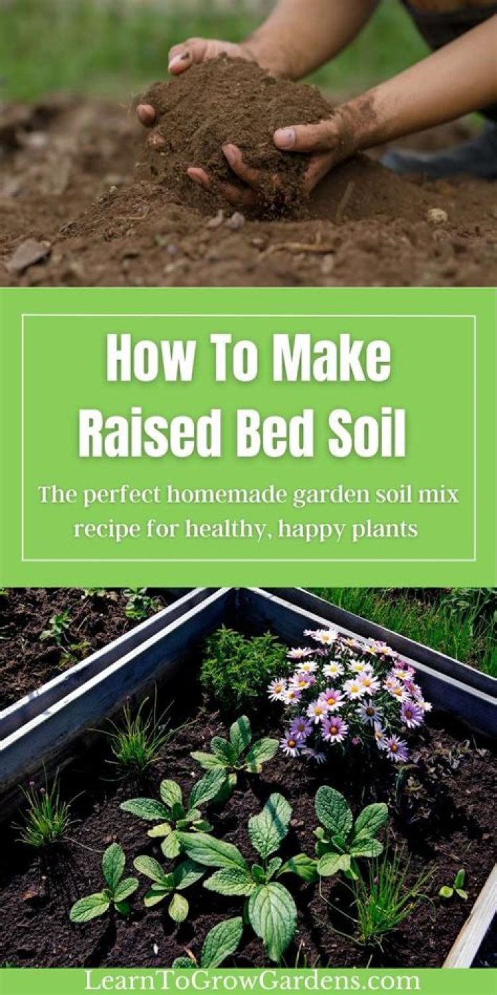How do I amend my raised bed soil?