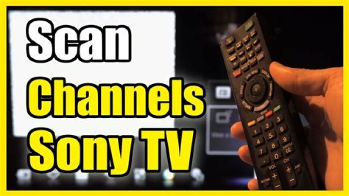 How do I find out how old my Sony Bravia TV is?