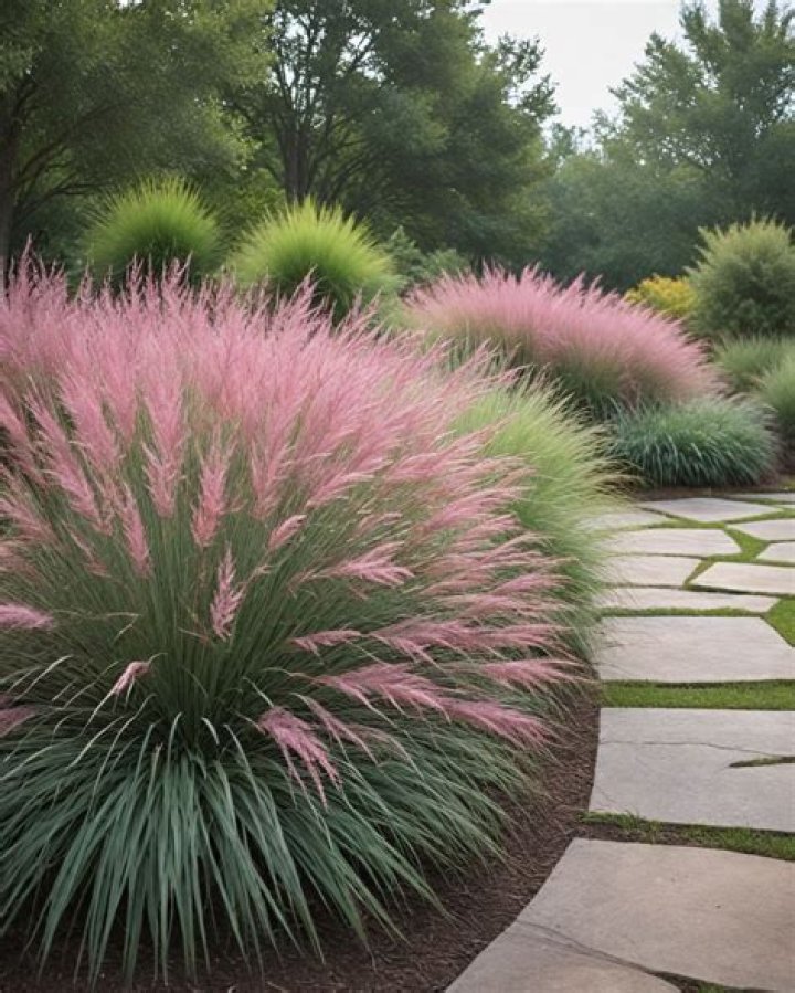 How do I get a yard full of grass?