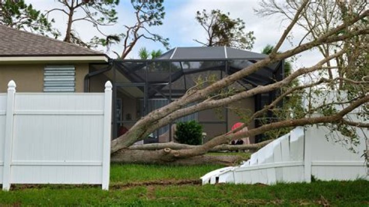 How do I get rid of a city owned tree?