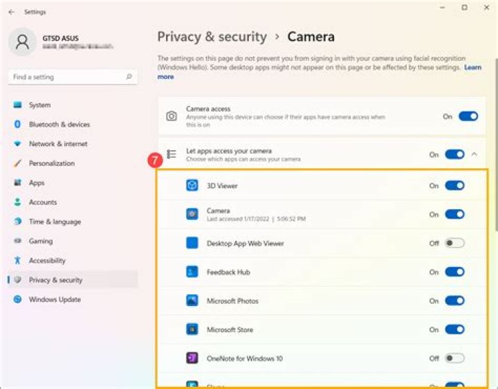 How do I give Windows permissions to the camera?