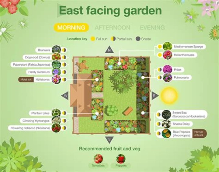 How do I plan an east facing garden?