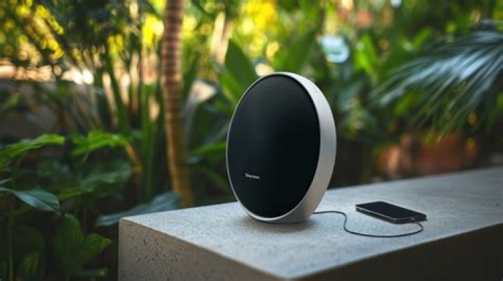 How do I reset my HK onyx speaker?