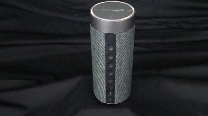 How do I reset my iLive Platinum speaker?