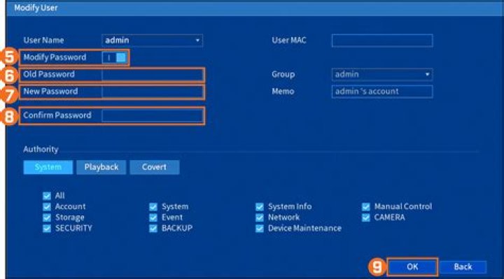 How do I reset my Lorex security password?