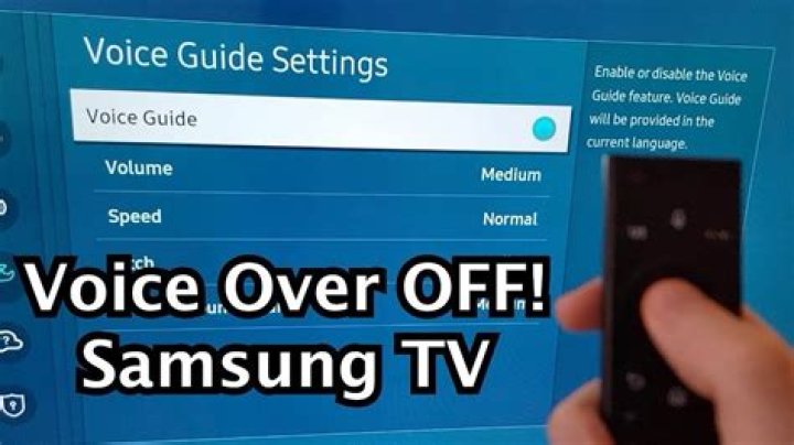 How do I turn the sound off on my Samsung TV?