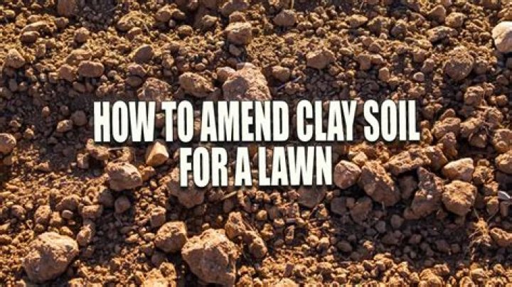 How do you amend a clay soil yard?