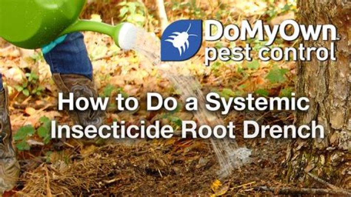 How do you apply soil drench insecticide?