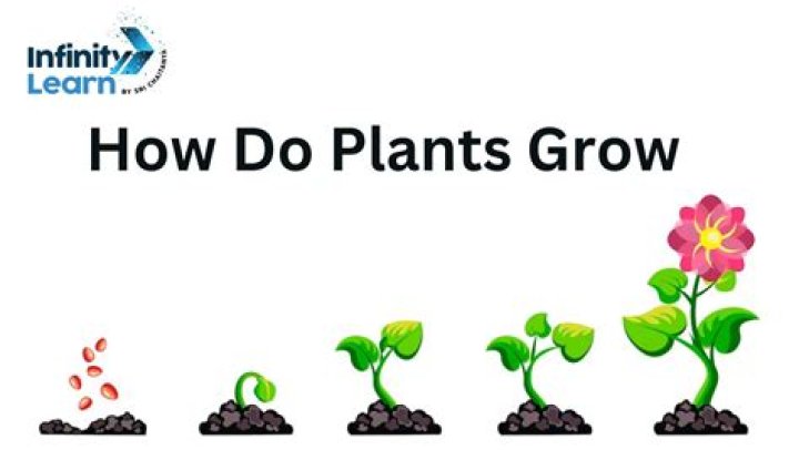How do you find out what plant is growing?