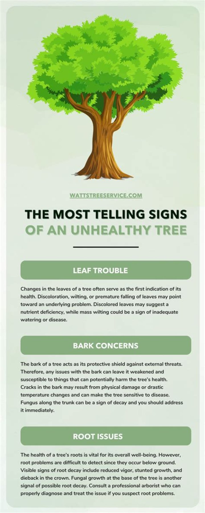 How do you help an unhealthy tree?
