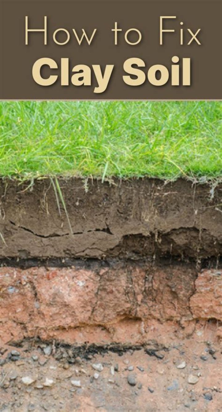 How do you improve the growth of clay soil?
