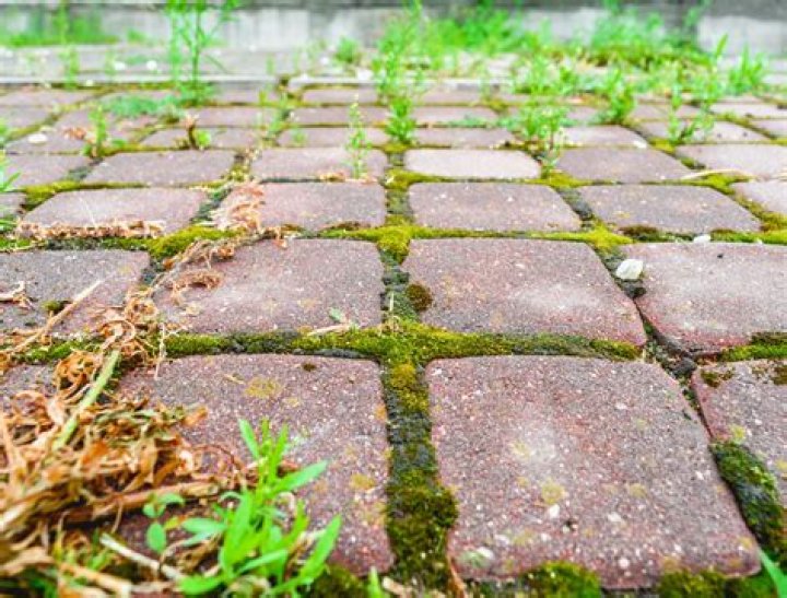 How do you kill grass between bricks naturally?