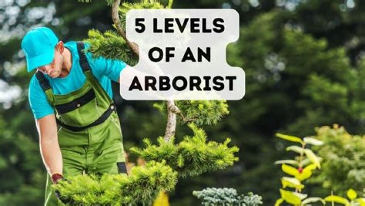 How do you know if someone is an arborist?
