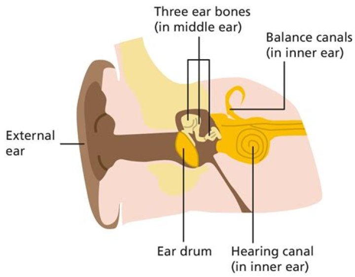 How do you know if you blew your speakers?